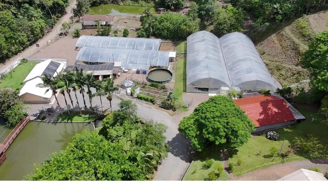 Sítio de 7,5 ha em Presidente Nereu