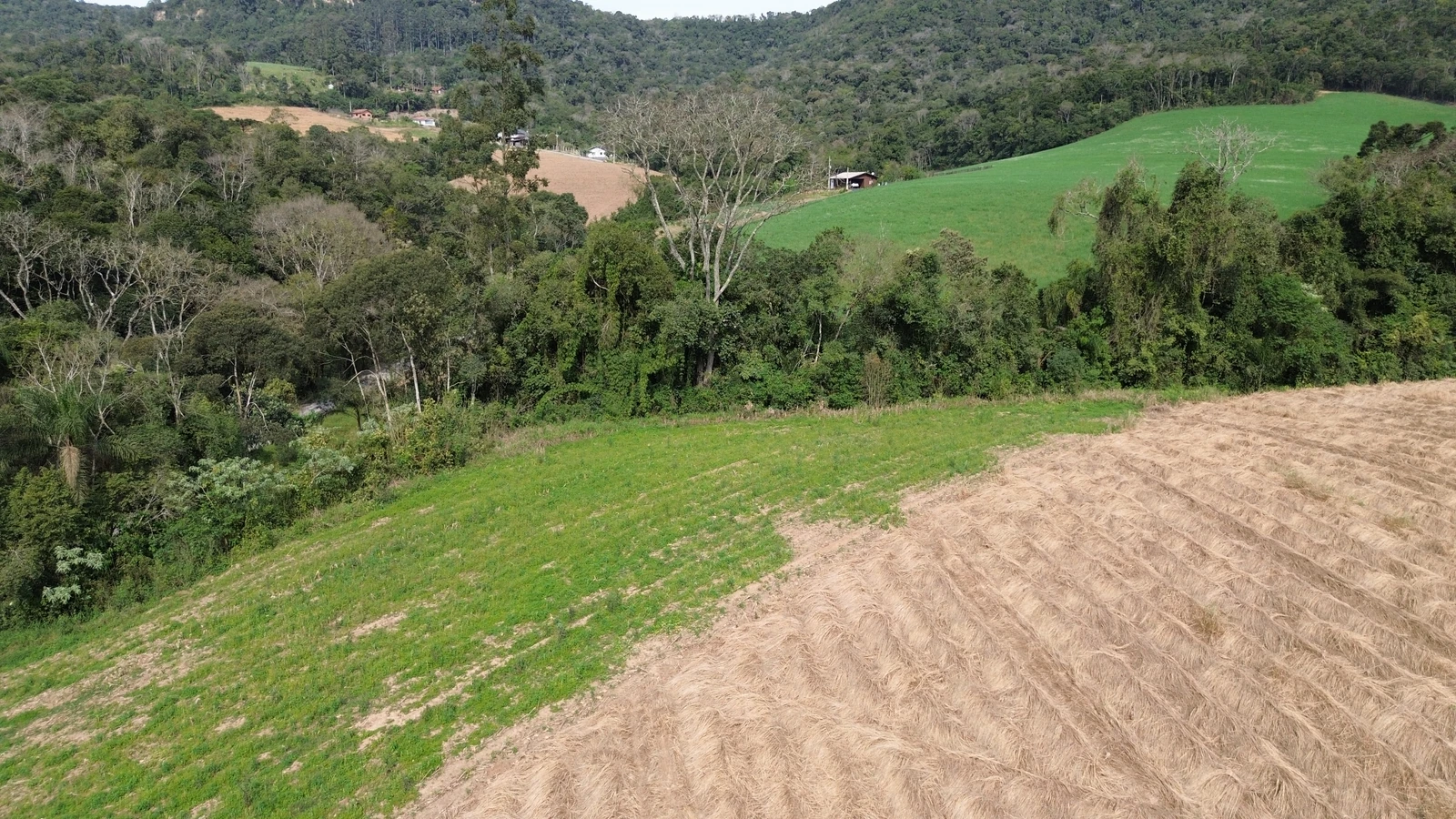 Sítio de aproximadamente 0,6 ha no Rio Batalha, Ituporanga/SC