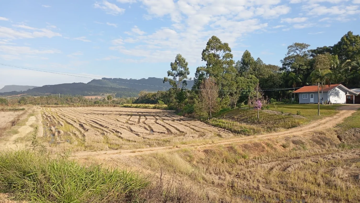 Vista da área urbana à venda próxima à BR-470 em Lontras/SC