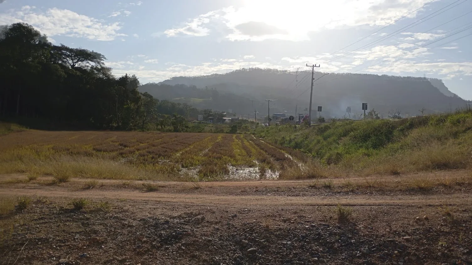 Estrada e área cultivada da propriedade em frente à SC-110