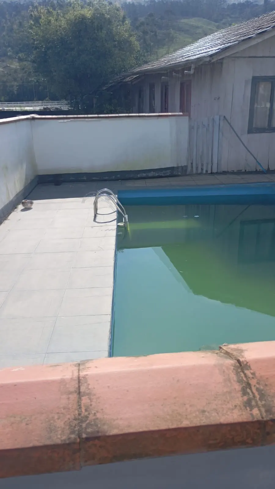 Piscina de alvenaria da casa à venda