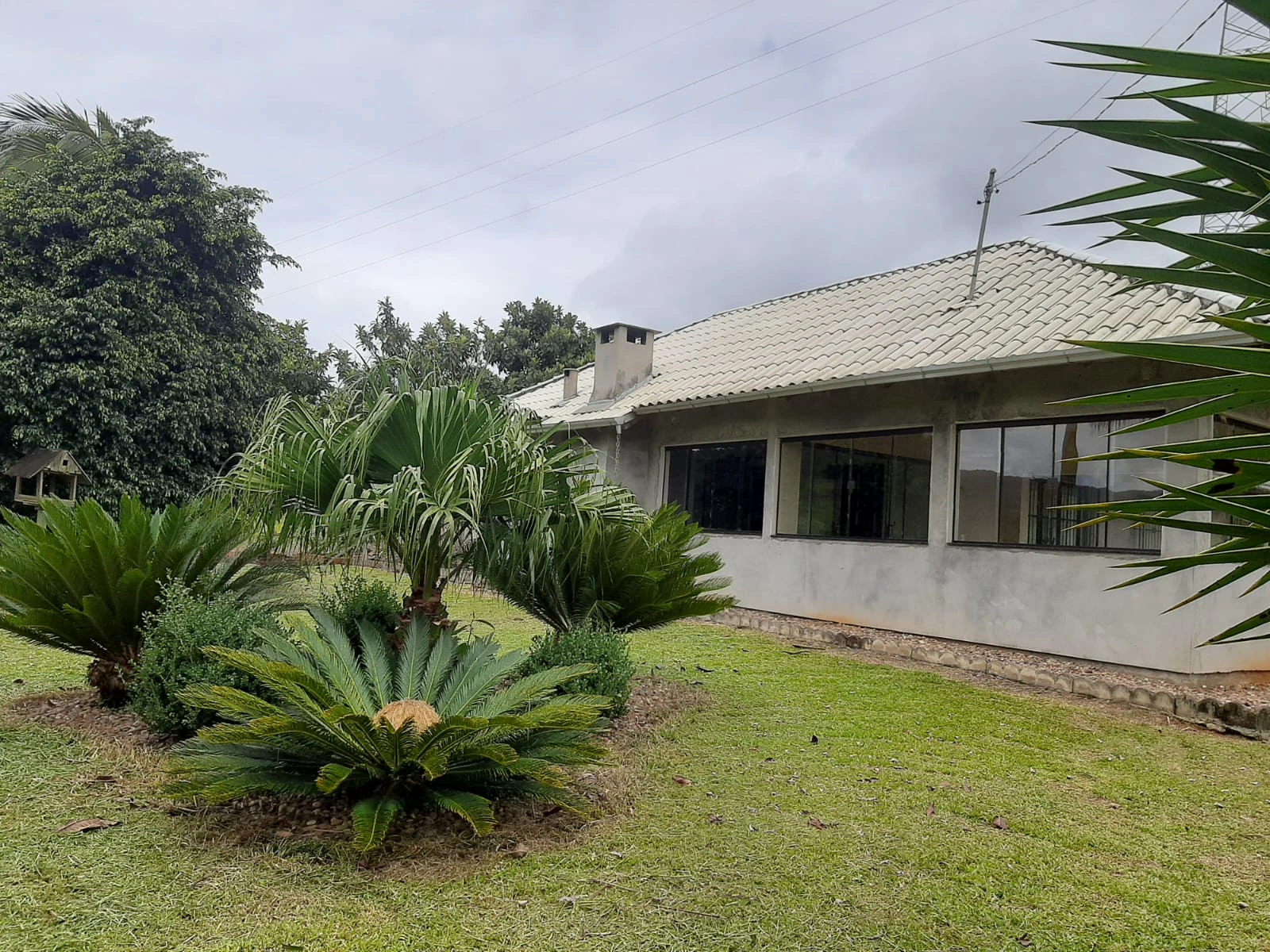 Fachada da casa com jardim em primeiro plano