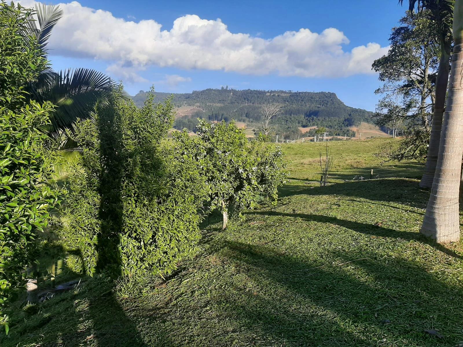 Vista do jardim para a paisagem rural