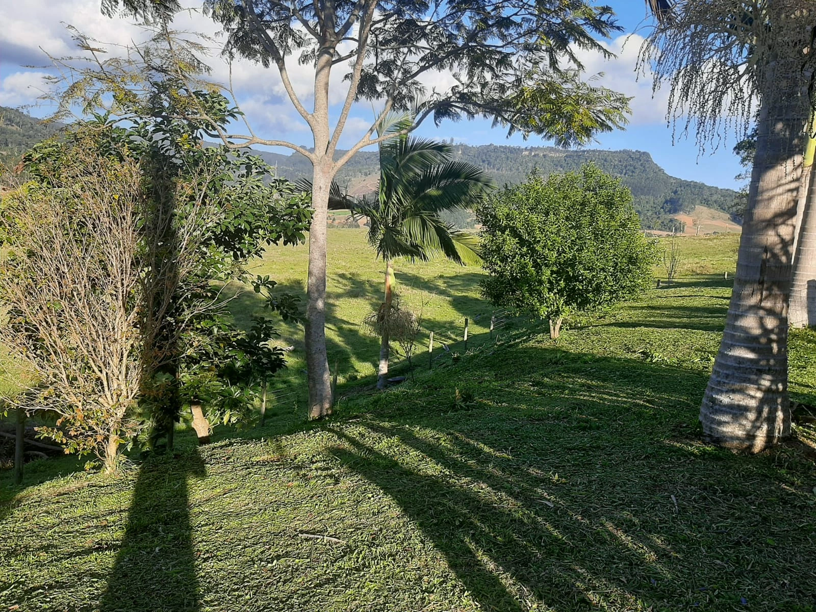 Jardim com árvores e vista para os morros