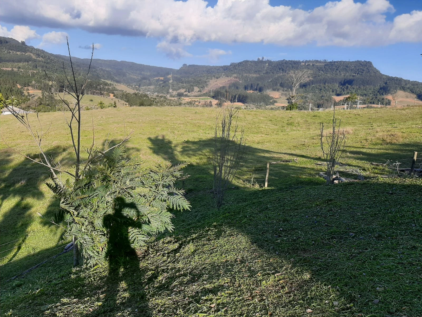 Área verde do terreno e paisagem ao fundo