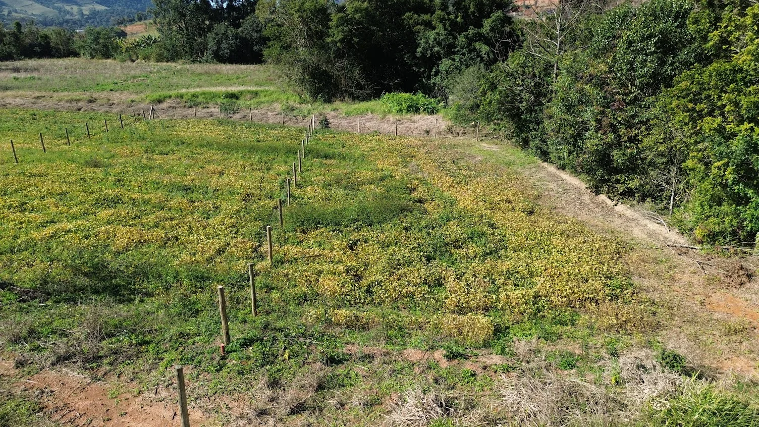 Fundos do lote 06 em área industrial de Lontras/SC