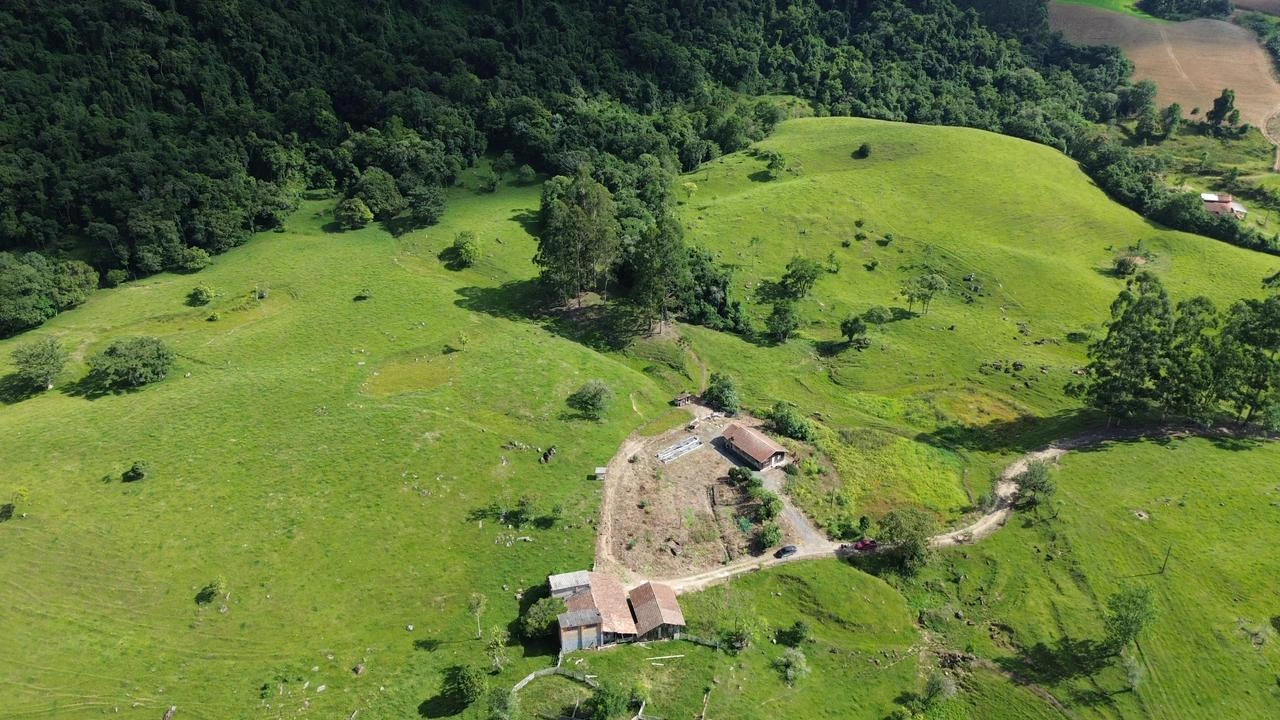 Áreas abertas, árvores e construções vistas de cima