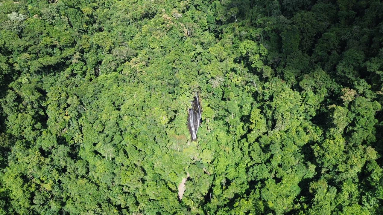 Vista aérea da cascata em meio à mata