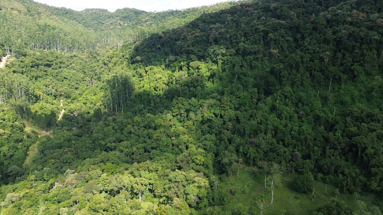 Vegetação e relevo ao redor da cascata
