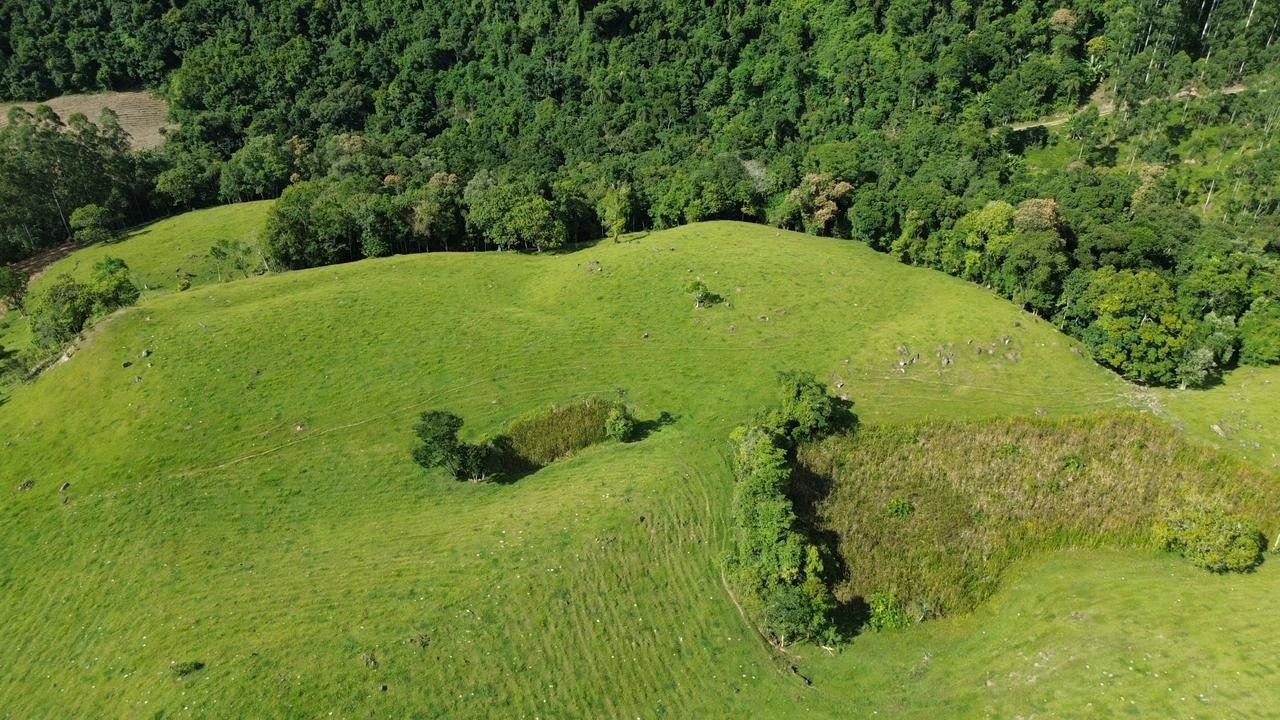 Pastagens e árvores na paisagem rural