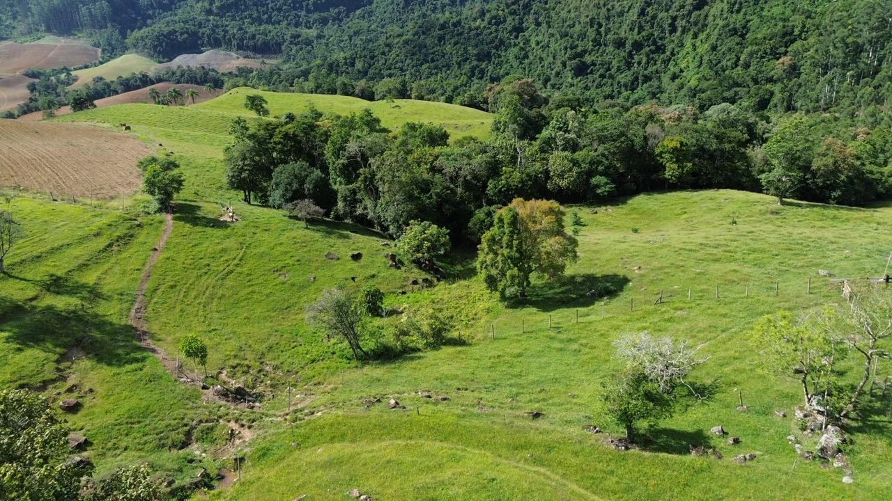 Vista das áreas abertas e do relevo da propriedade