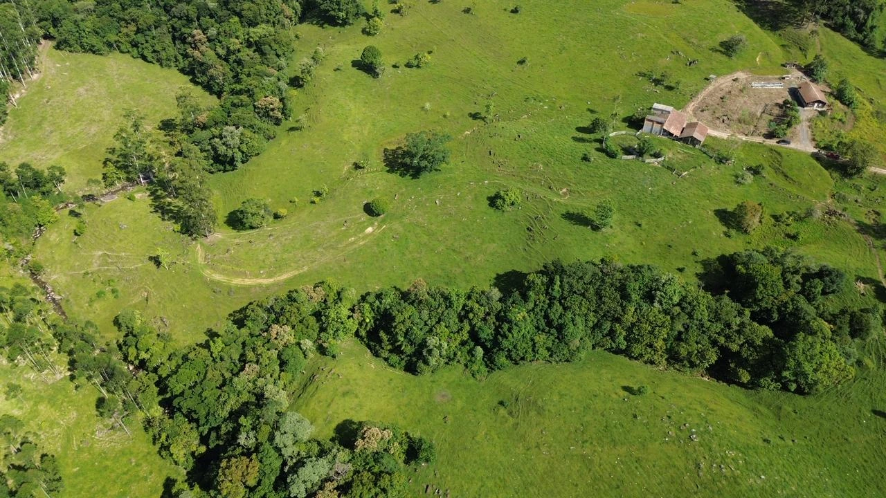 Perspectiva aérea das pastagens, árvores e construções ao fundo