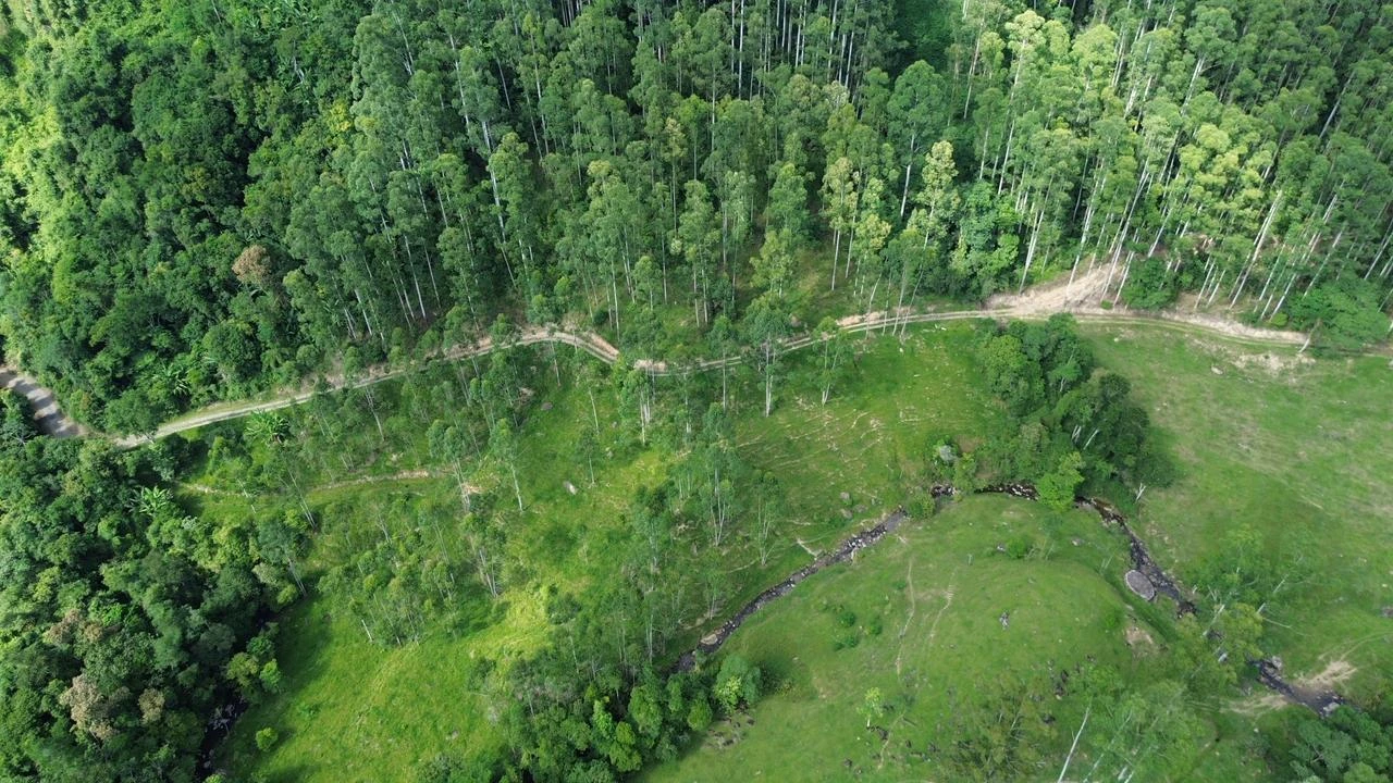 Vegetação e áreas abertas da propriedade rural
