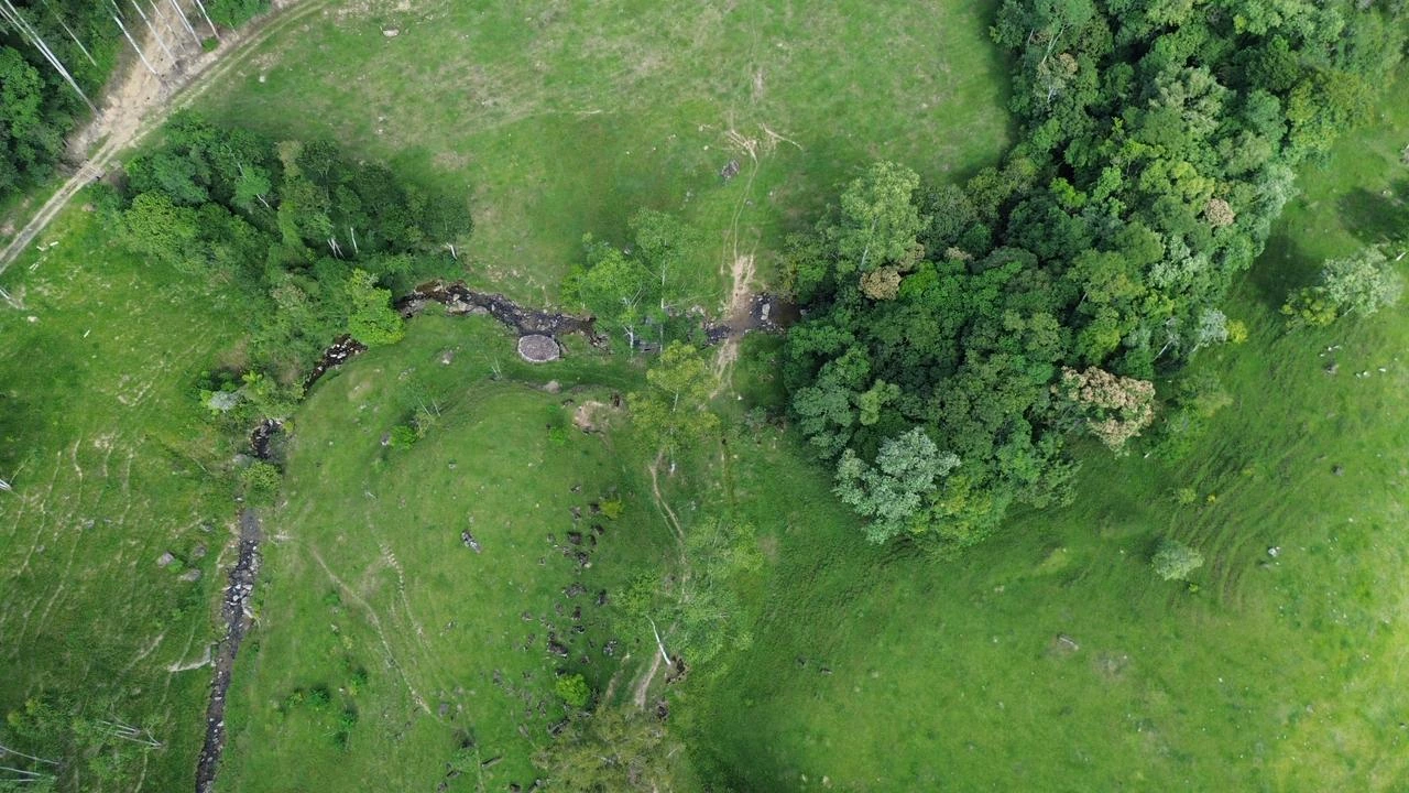 Detalhes da área rural e da vegetação