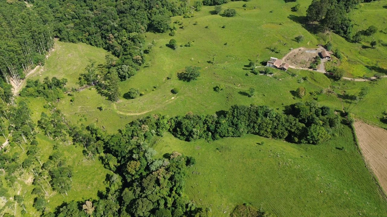 Vista superior das pastagens, das árvores e das construções