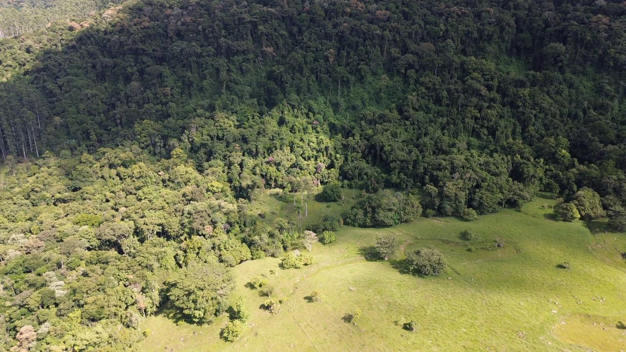 Colina coberta por mata e pastagem em primeiro plano