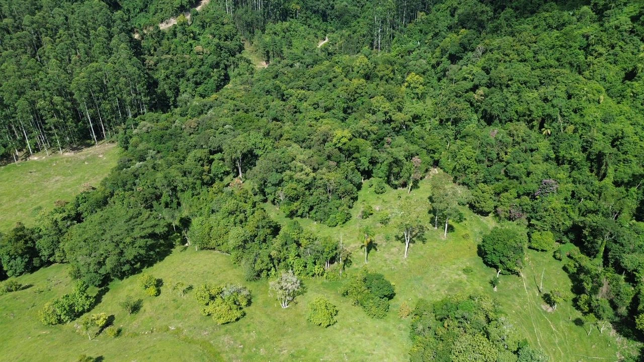 Área aberta junto à mata vista de cima