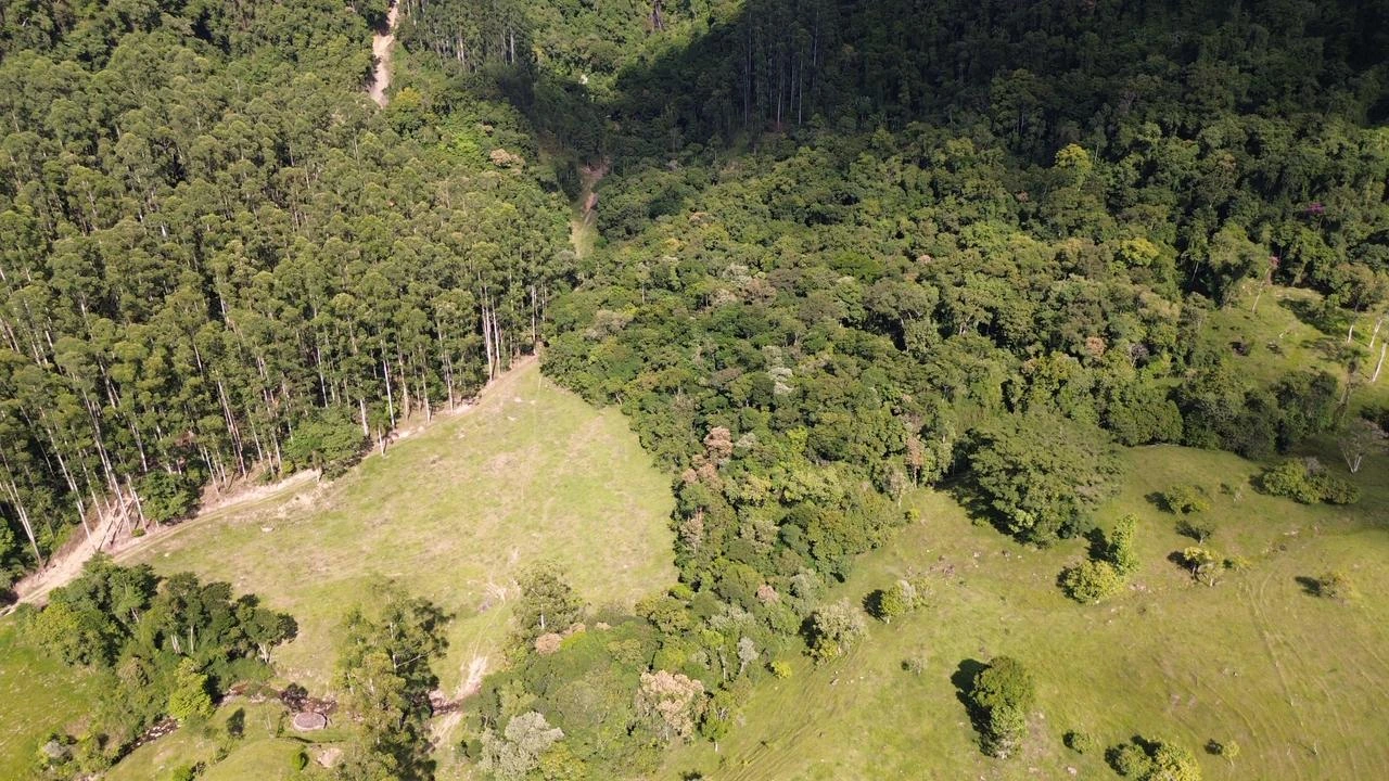Área aberta e vegetação no relevo da propriedade