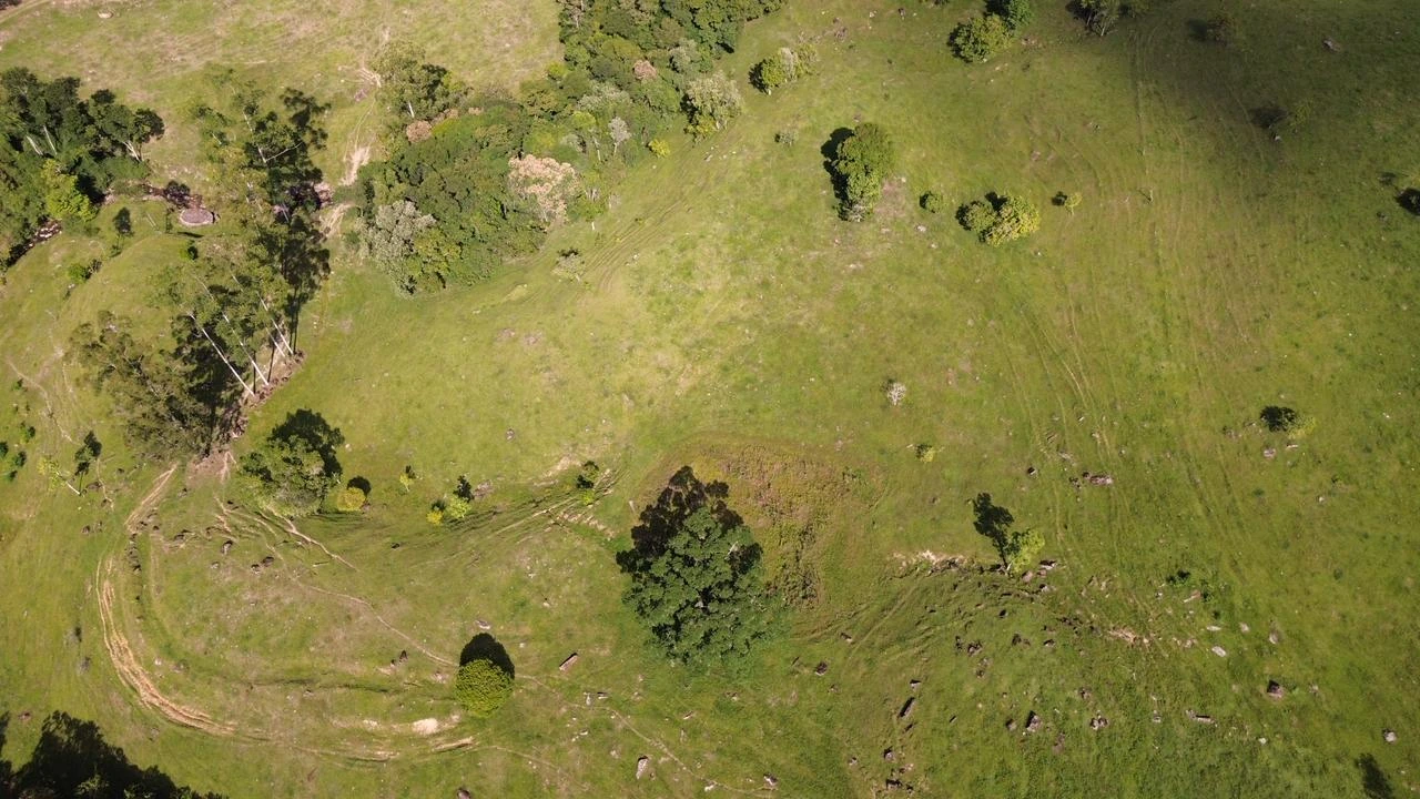 Vista superior da pastagem e das árvores espalhadas pela área