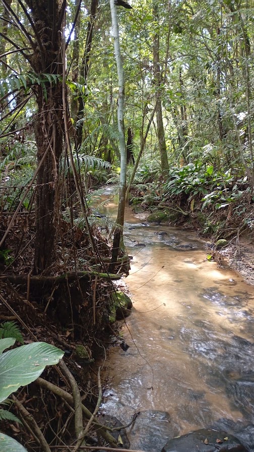 Riacho natural em frente ao sítio