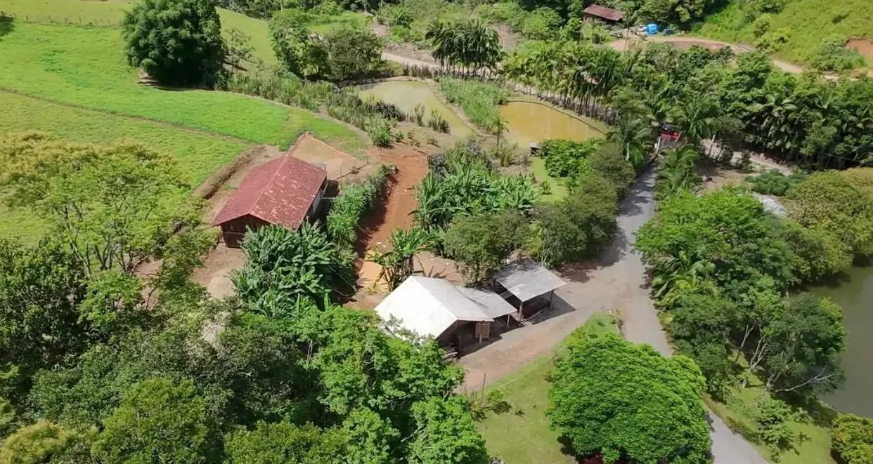 Sítio de 7,5 ha em Presidente Nereu — foto 2