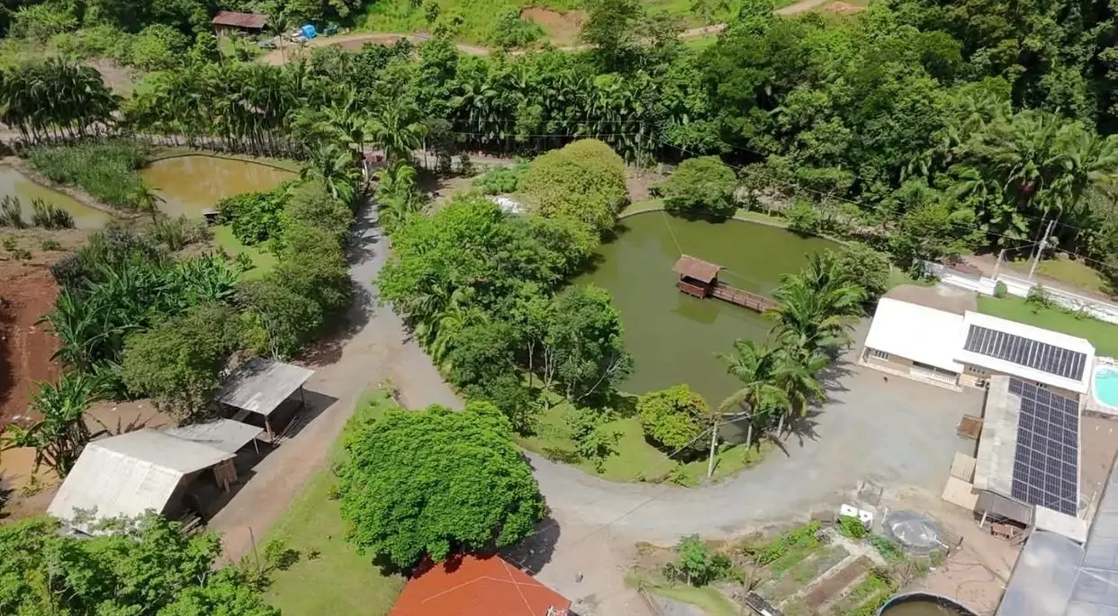 Sítio de 7,5 ha em Presidente Nereu — foto 3