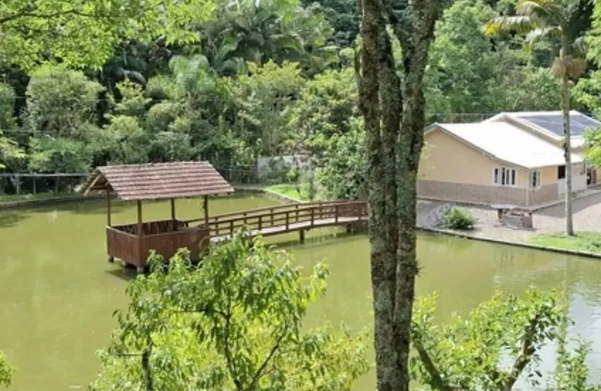 Sítio de 7,5 ha em Presidente Nereu — foto 11