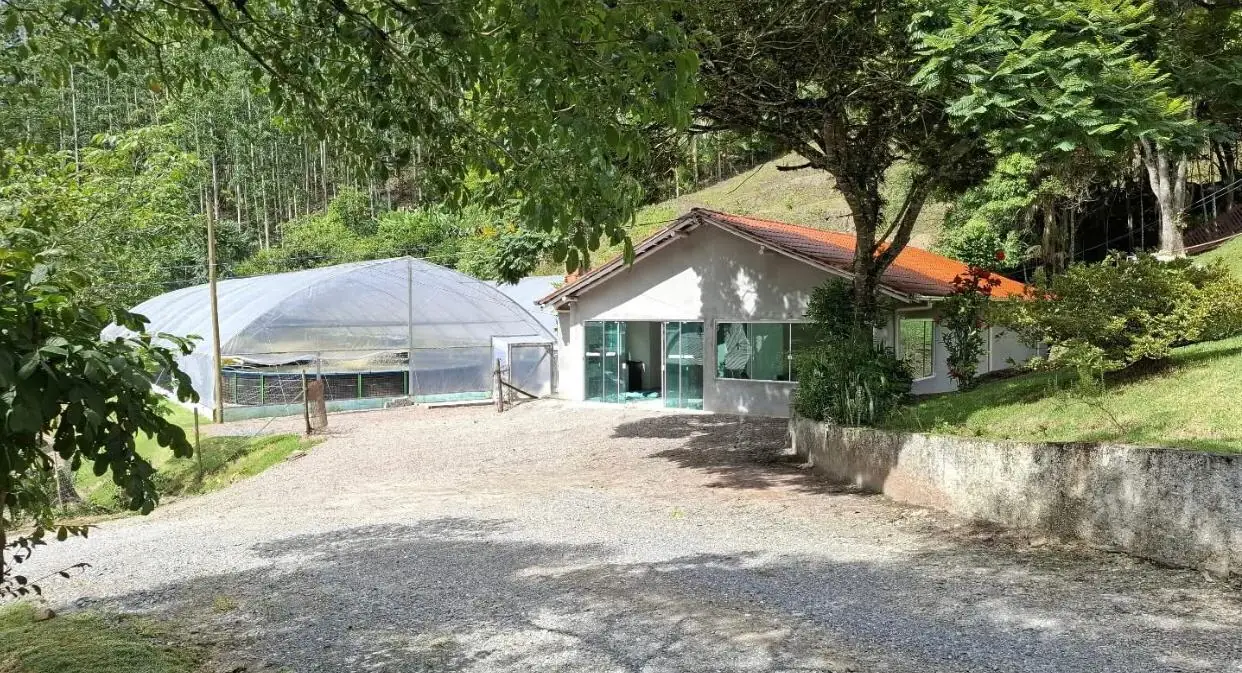 Sítio de 7,5 ha em Presidente Nereu — foto 13