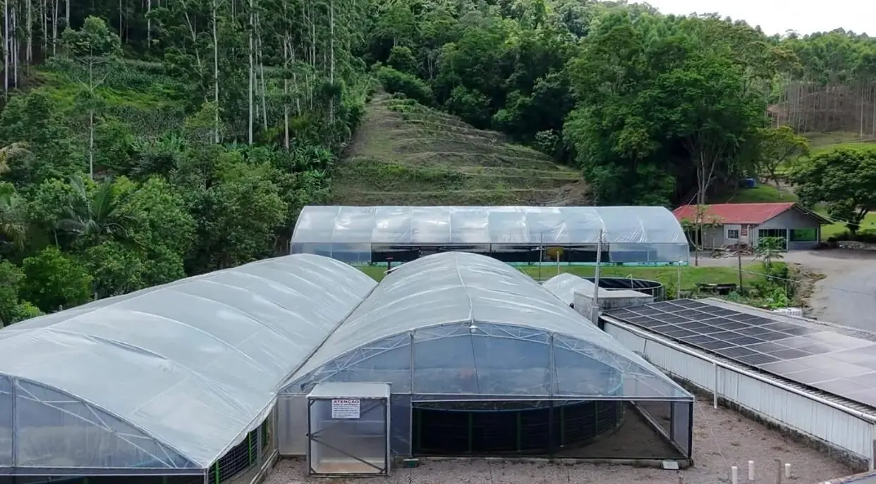 Sítio de 7,5 ha em Presidente Nereu — foto 14