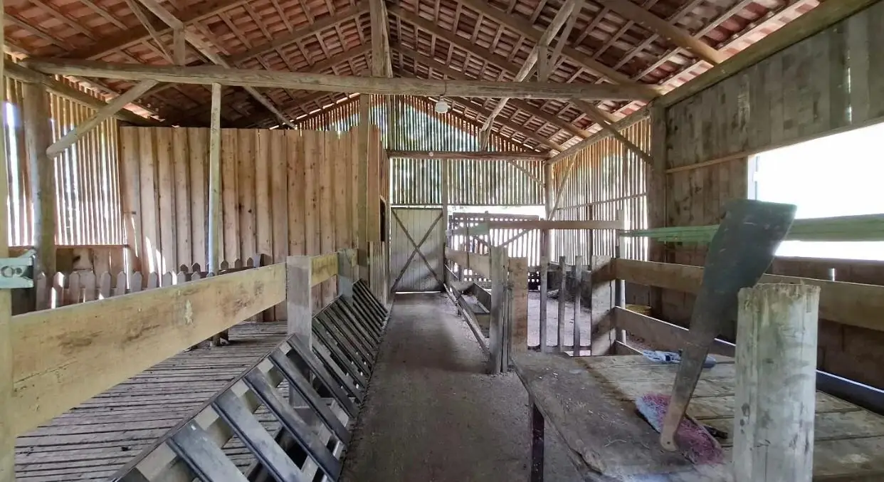 Sítio de 7,5 ha em Presidente Nereu — foto 20