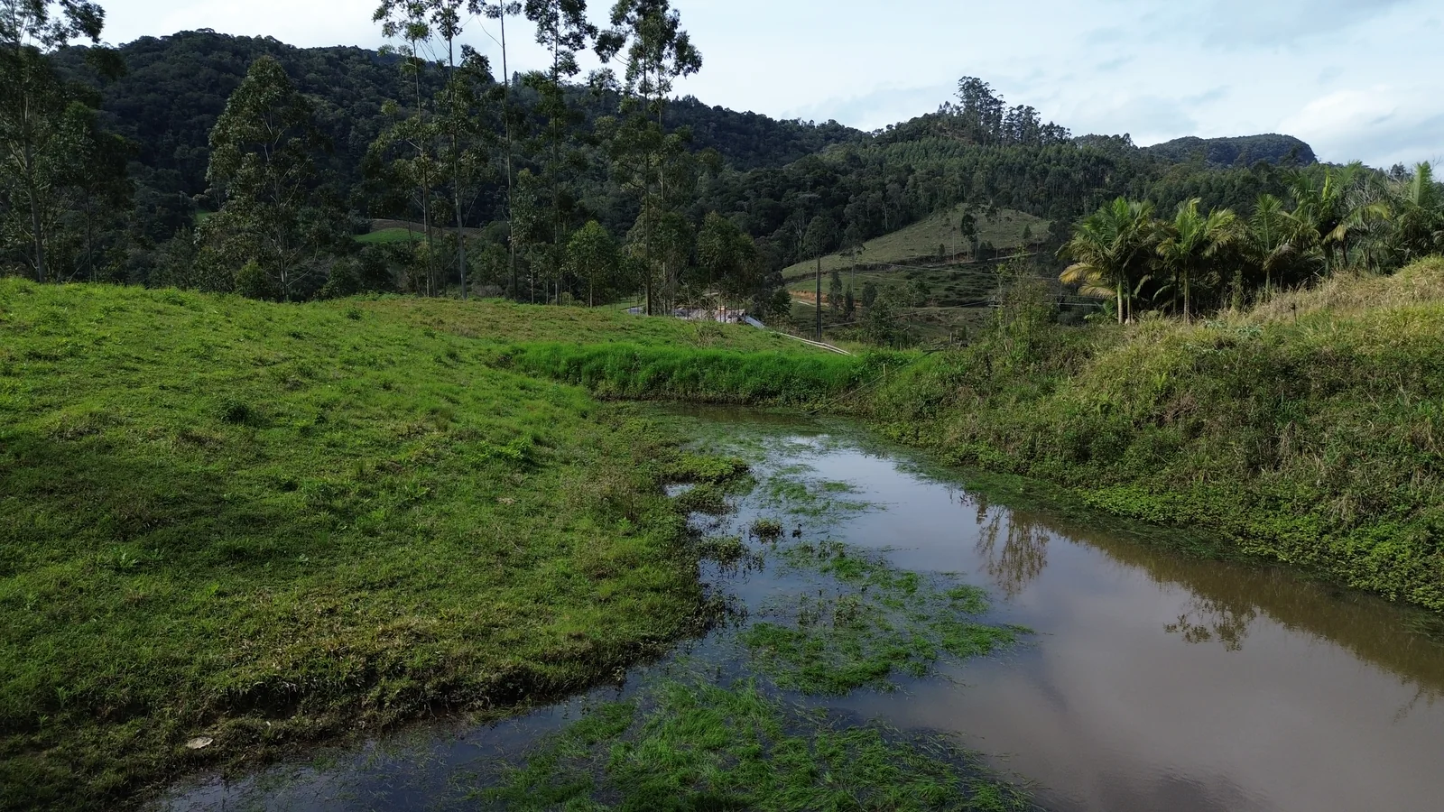 Lagoa de peixes e área de pasto do terreno à venda
