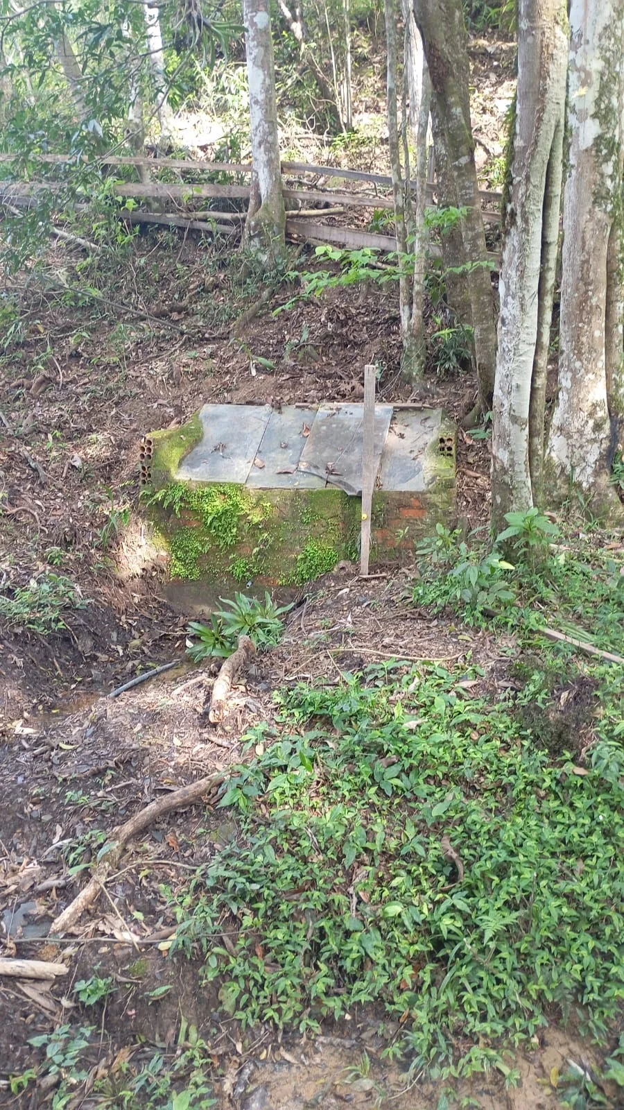 Fonte de água natural modelo Cachambu na área do terreno