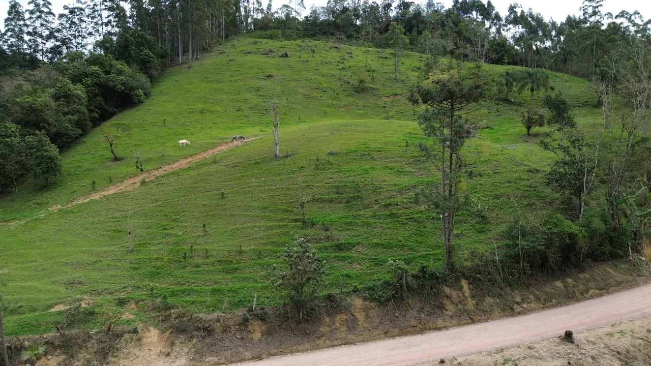 Paisagem de campo em Alto Rio Novo, Apiúna/SC