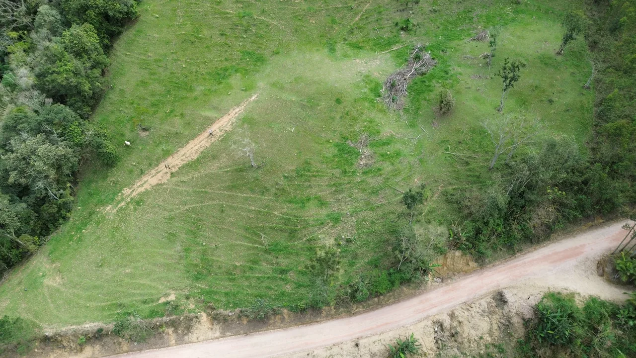 Campo e estrada em Alto Rio Novo, Apiúna/SC