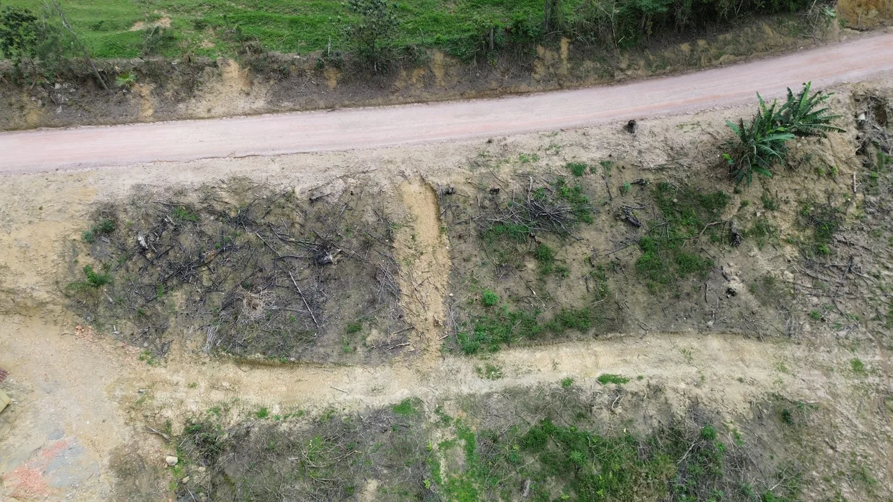 Margem da estrada em Alto Rio Novo, Apiúna/SC