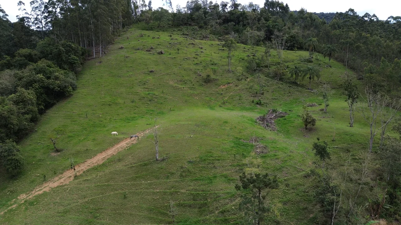 Campo em perspectiva em Alto Rio Novo, Apiúna/SC