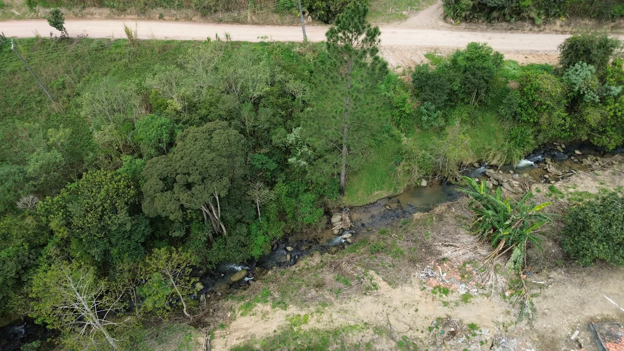 Rio e vegetação em Alto Rio Novo, Apiúna/SC