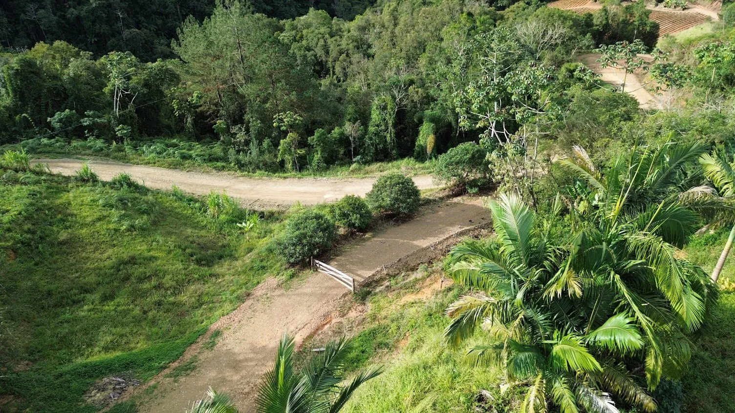 Acesso interno cercado por vegetação no terreno rural em Apiúna/SC